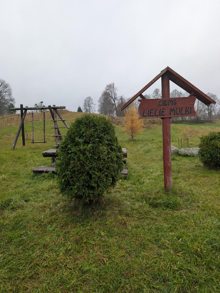 Ciemā pie muļķiem