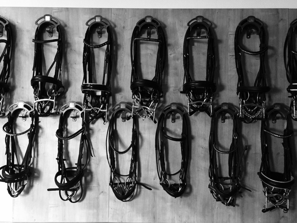 grooms_list's tweet image. JL138996 Germany – Experienced Home Groom required, Dressage 

*No mucking out! 🙂 *Single accommodation *Own horse &amp;amp; pets possible 

thegroomslist.co.uk/equine-jobs/13… 

#jobsingermany #Dressage #internationaldressage #dressagejobs #thegroomslist #careeropportunity #careergrooms