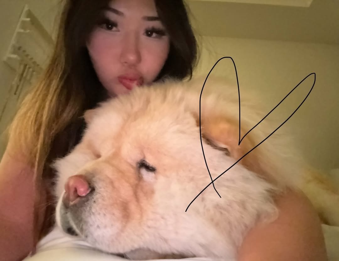 AsianMich's tweet image. 