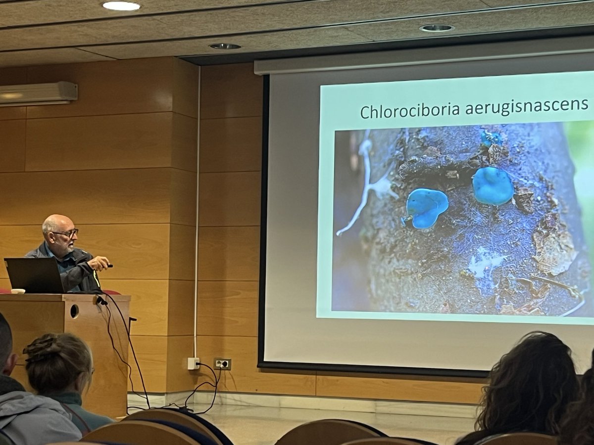 Biblioteca Ramon Vinyes i Cluet tweet media