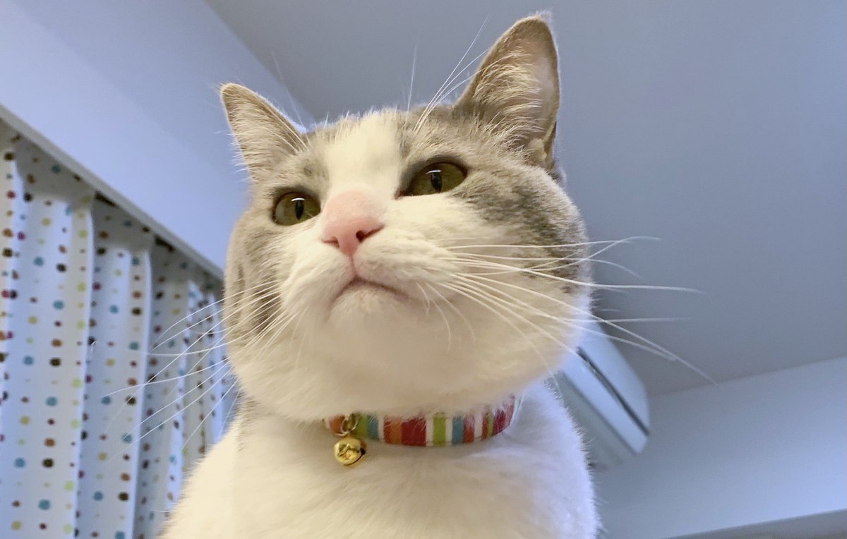 いずもん/まろ様＊mfmf (@7nfxwoi3F8lSqHU) / Posts / X