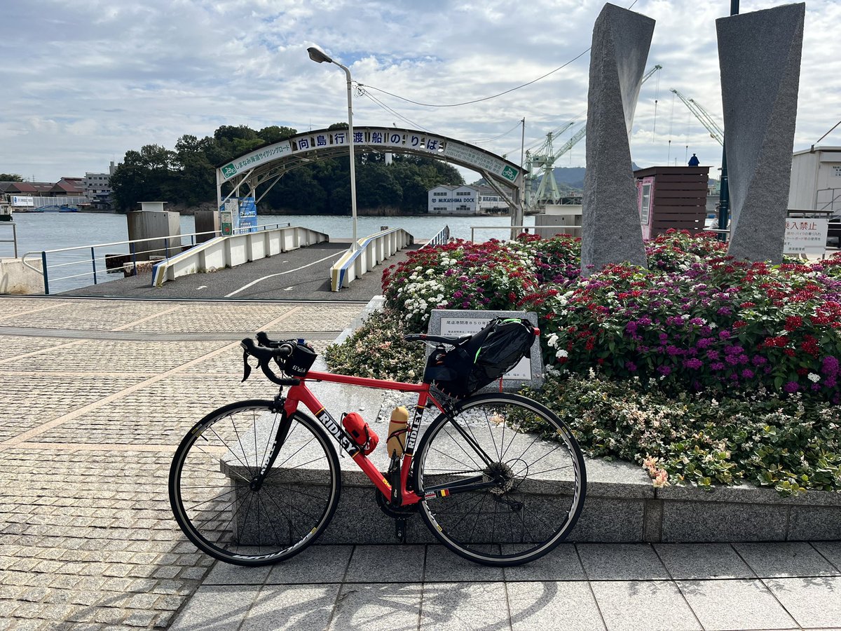 ぴーちゃん（虎廃） (@pi_chan_kakipea) / Posts / X