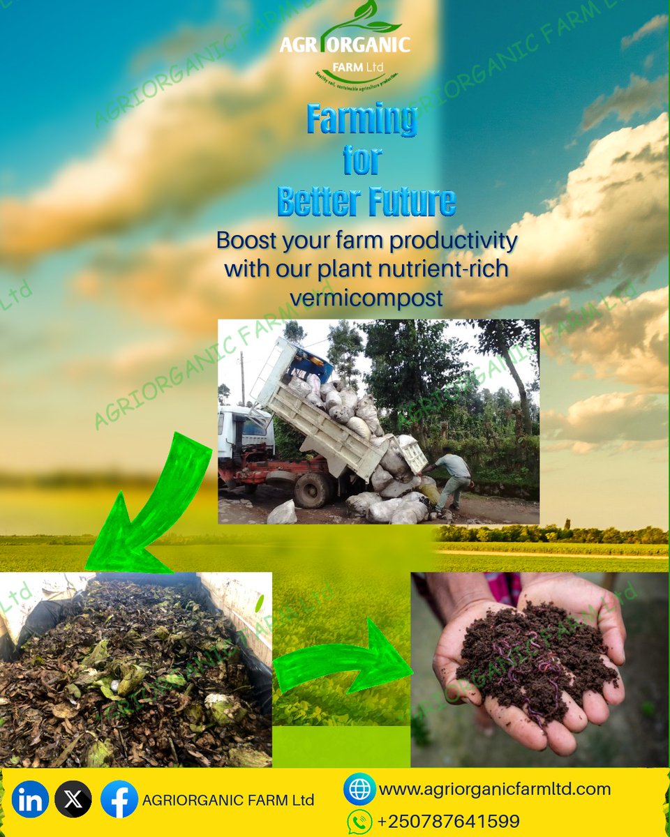 Agri_Rwanda's tweet image. We don&apos;t just talk circular economy; we live it🌱
At AGRIORGANIC FARM Ltd, we transform #waste into #wealth to build a more sustainable #agriculture.

If you are looking to boost your farm productivity, visit us!We&apos;re here to help.
#CircularEconomy
@ryaf_agribiz @YaltaInitiative