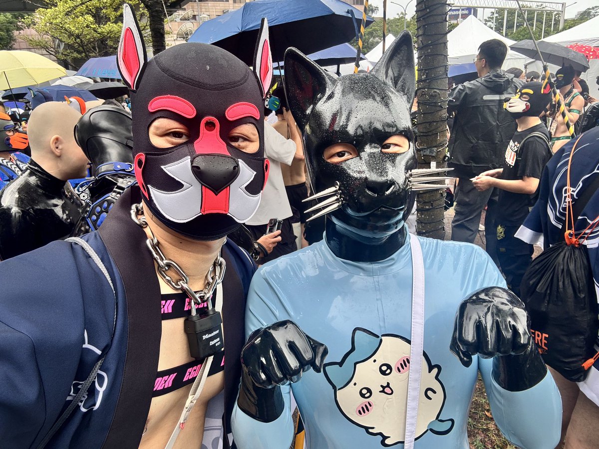 Raining Cat and Dog 😺🐶🌧️🇹🇼