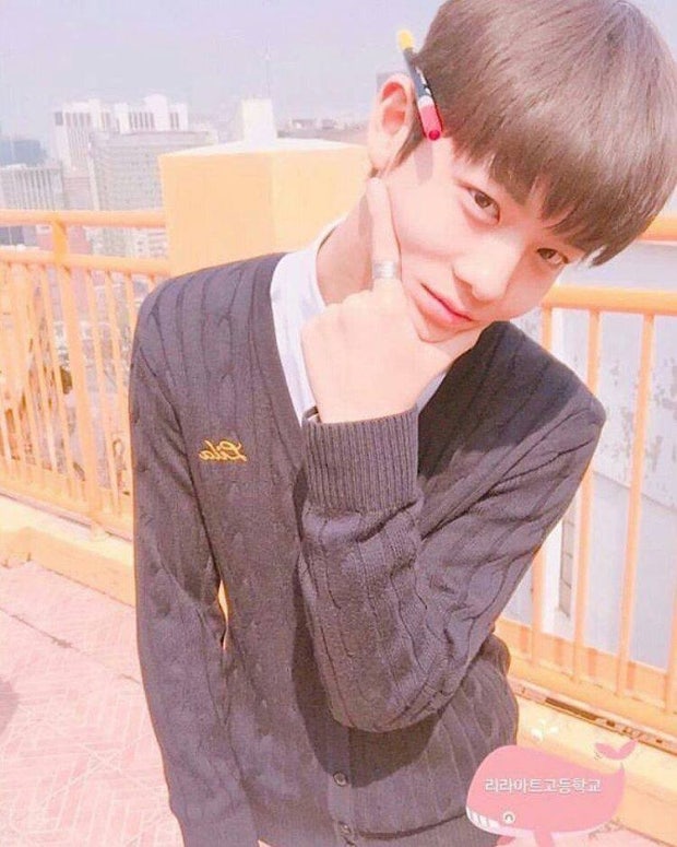 약수동왕눈이🐱 tweet media