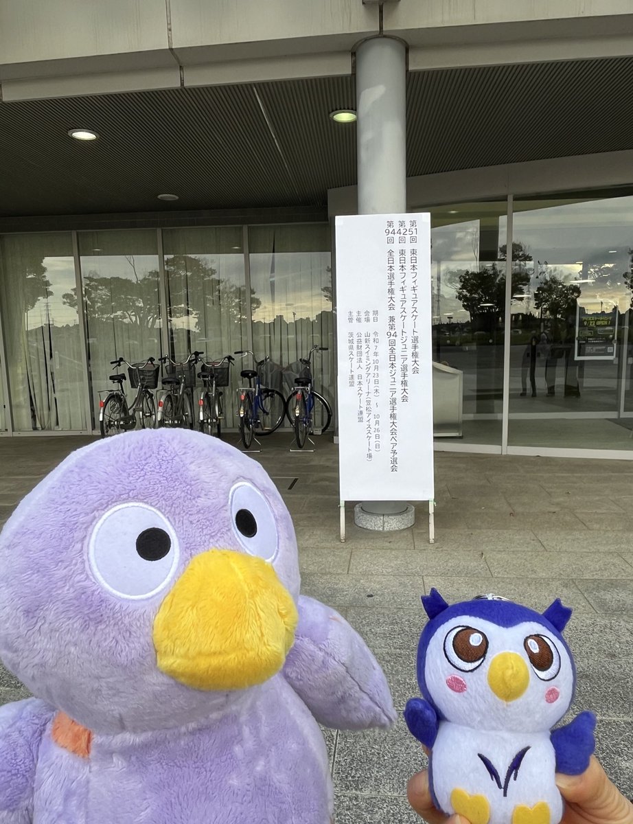 さっつん Scarpin Marrom Camurça Salto Alto Bloco | ZZ MALL