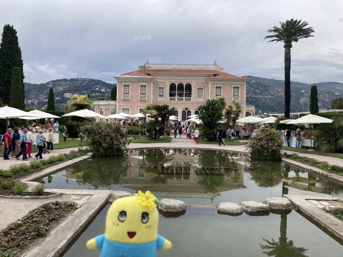 ジャスミン on X