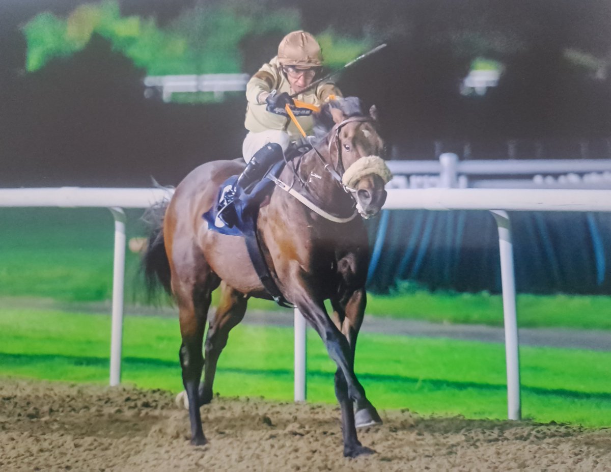 Grange Park Racing tweet media