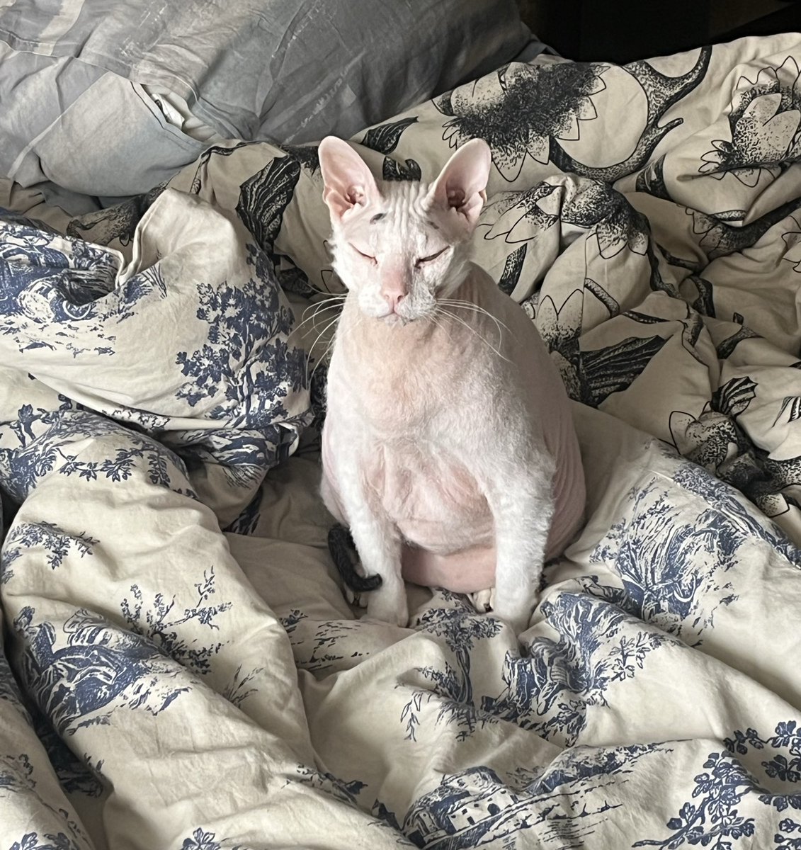 Проснулся и не понял