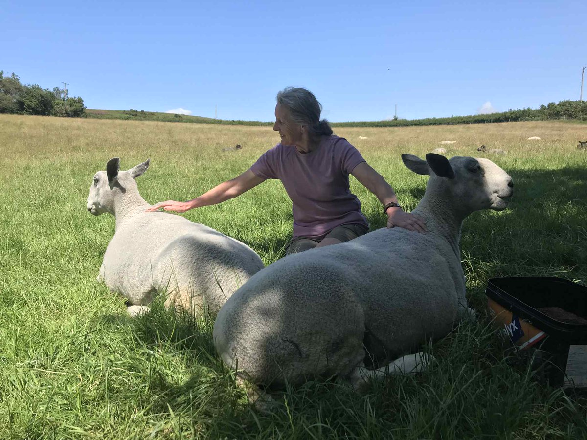 WPSSanctuary's tweet photo. It's Hug a Sheep Day ❤️🐑
Well every day here is hug a sheep day really!

A very happy hug memory from the archives today. This is the day I brought Adele and Alia home back in March 2017. They're a bit bigger now 🐑🐑🤣
#hugasheepday

https://t.co/2mryl593Xf https://t.co/40mPA0GQrB