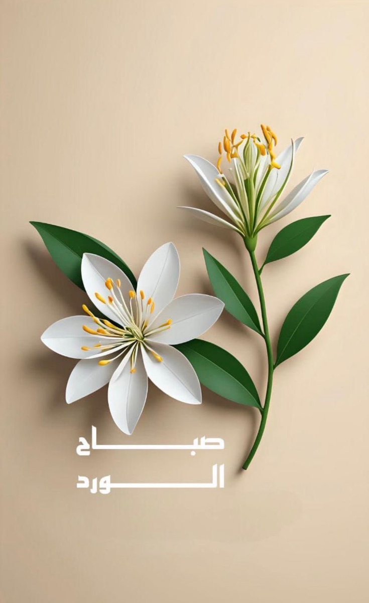 Ali..Alyami (@ahi911) on Twitter photo 