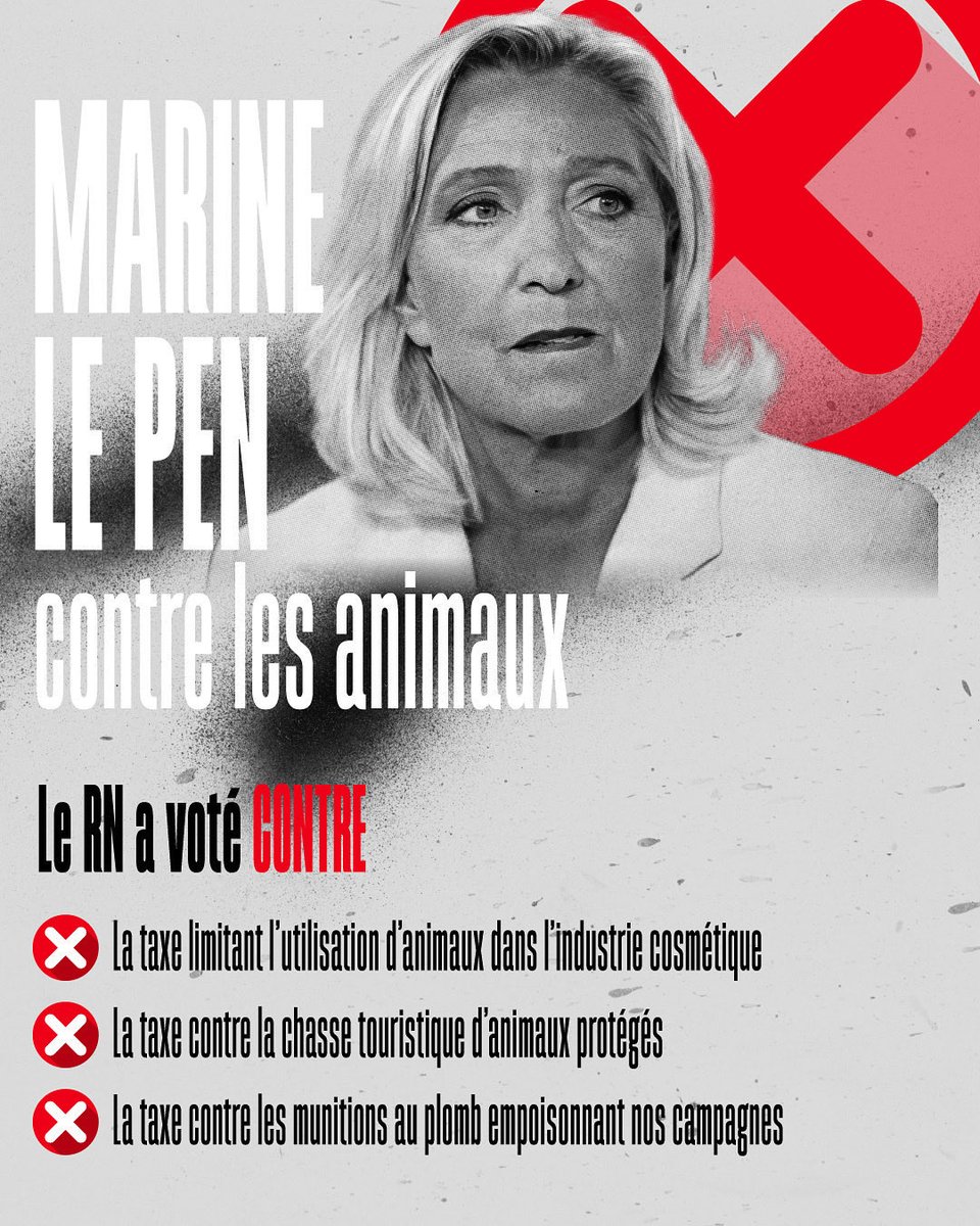 <a href="/AntoineContrant/">Antoine Contrant 🇫🇷</a> <a href="/RNational_off/">Rassemblement National</a> <a href="/RNJ_off/">RNJ 🇫🇷</a> Prendre les animaux en photo, c’est bien.

Voter pour eux, c’est mieux.