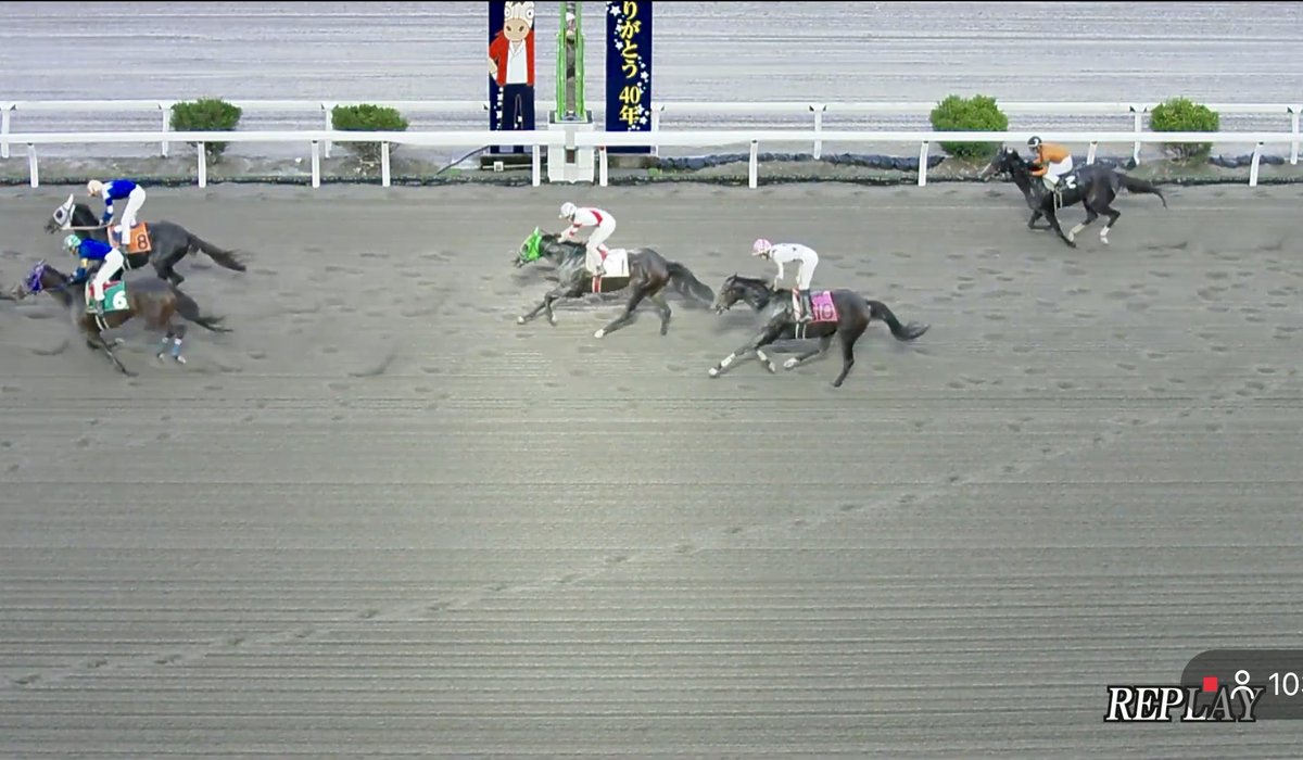 しほページ しほ on X