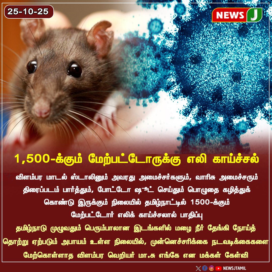 Manikandan_RIT's tweet photo. 1,500-க்கும் மேற்பட்டோருக்கு எலி காய்ச்சல்

#ratfever #dmkfails #fever #tamilnadu #tngovt #virus #newsj https://t.co/kJ7GHdaUWE