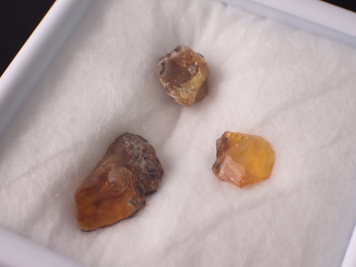 tartanDia様ご確認❣️ たこ焼き屋 峠のクマタコ on X