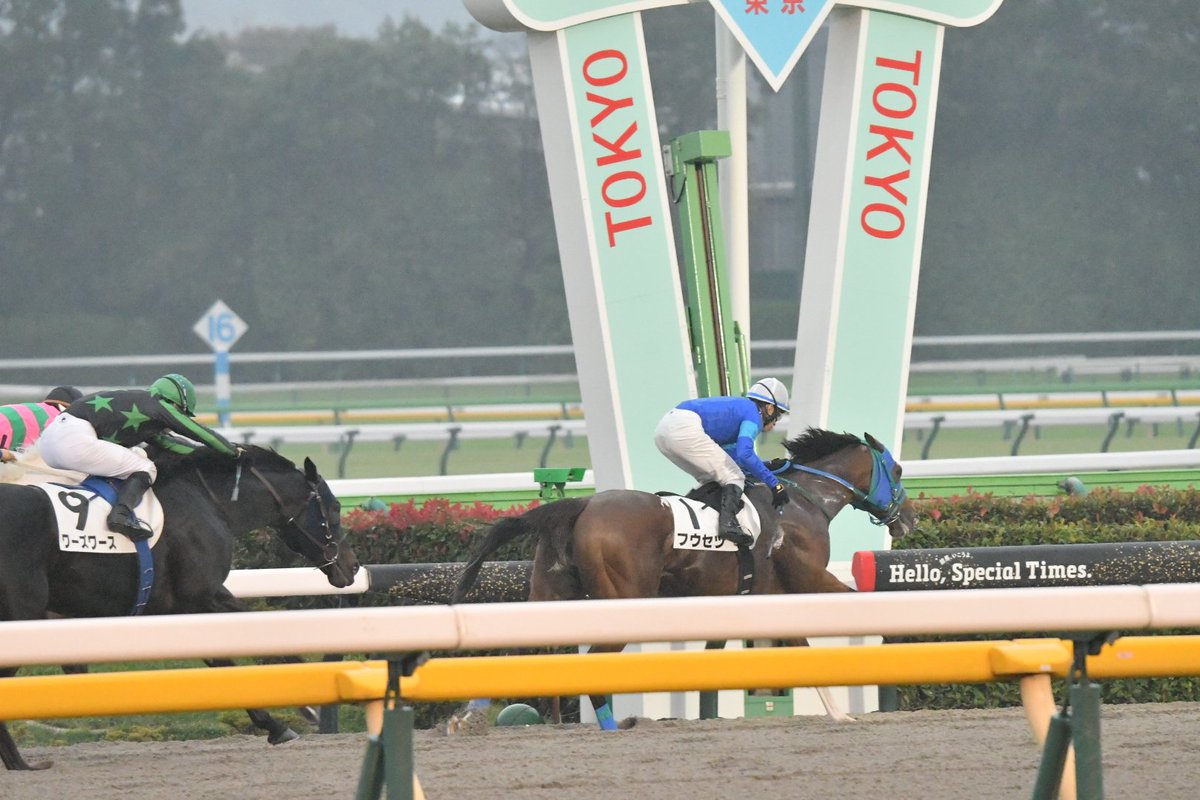 STONE  赤 トレーナー【早い者勝ち】 セール】2025AW新柄 Red Cap Girl Sweat Shirt/レッドキャップ