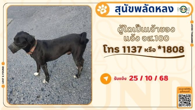 พบสุนัขพลัดหลงที่บริเวณซ.พระราม9 ซ.17 เขตห้วยขวาง ผู้ใดเป็นเจ้าของแจ้ง JS100 โทร *1808 หรือ 1137

รายละเอียดเพิ่มเติม : js100.com/en/site/lost_f…

#สุนัขพลัดหลง #ตามหาเจ้าของ #JS100