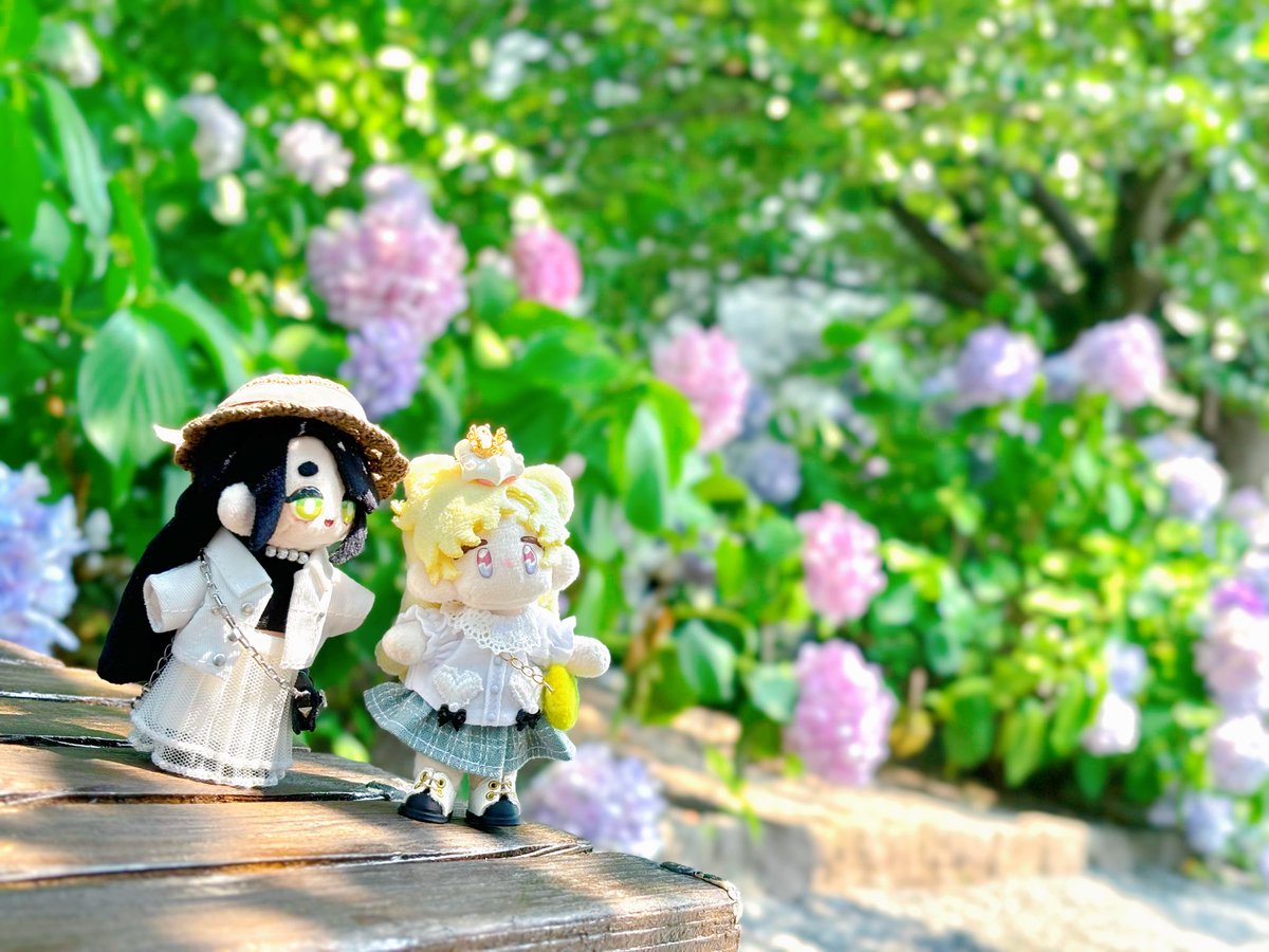 puniyk_'s tweet photo. 夏終わったね〜

#ぷにみお https://t.co/xXHAFWiffX