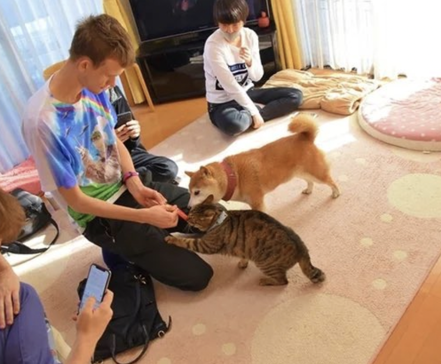 Day 3 of tagging <a href="/VitalikButerin/">vitalik.eth</a> 😼

Vitalik, even your cat probably owns $CATCOIN by now.
Stop resisting the purr.
Adopt the future. 🐾💎

#Catcoin #Ethereum #Crypto