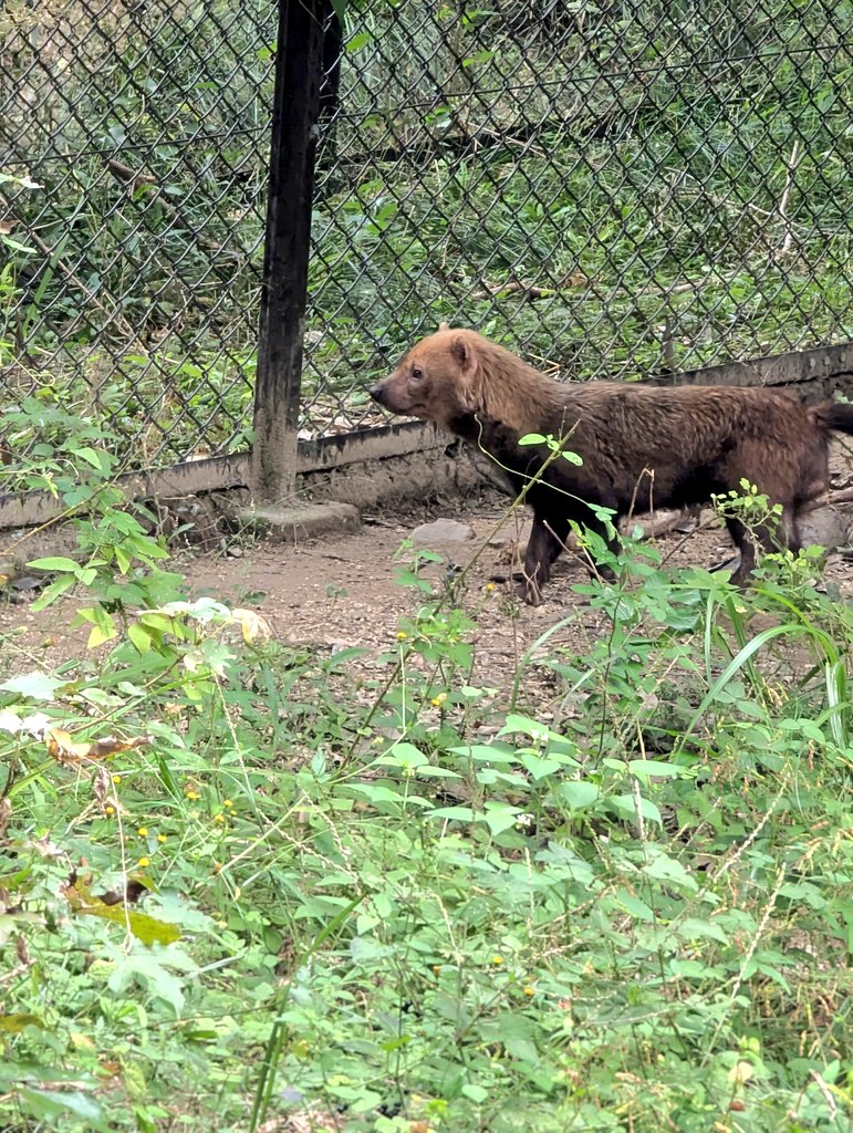 くうたん たけやん on X