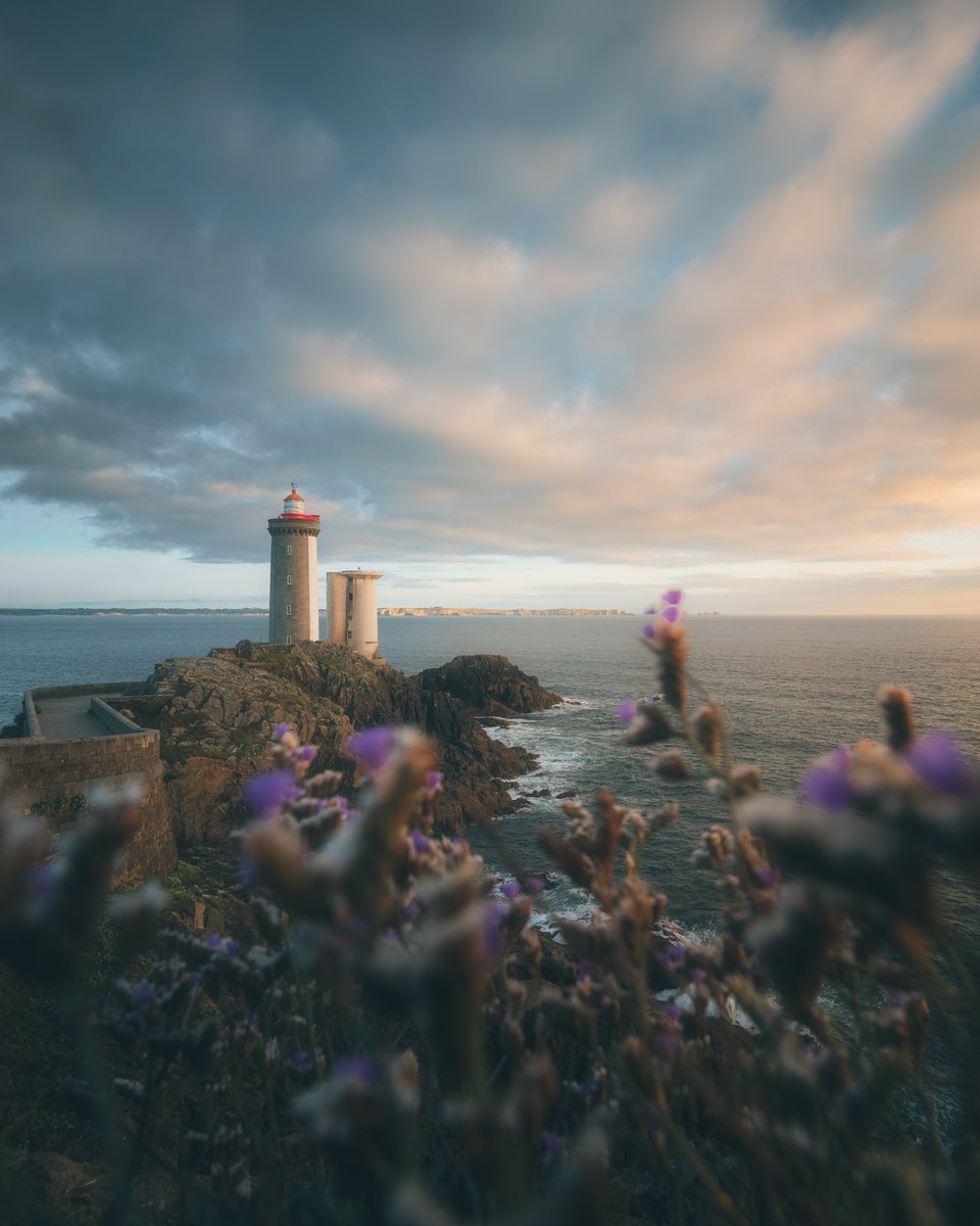 Julien Bihan Photographie tweet media