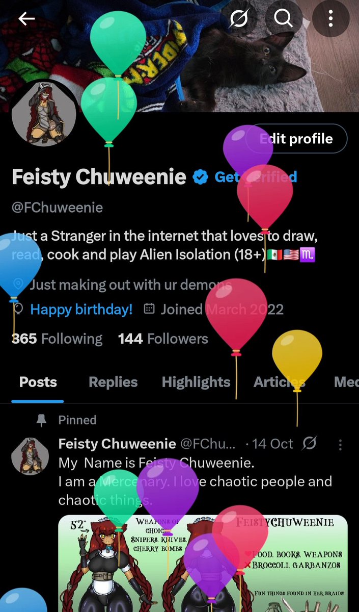 Feisty Chuweenie tweet media