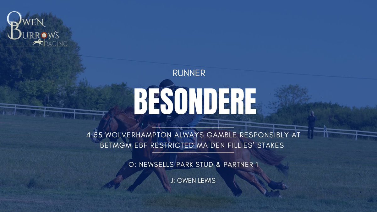 BESONDERE heads to <a href="/WolvesRaces/">Wolverhampton Races</a> this afternoon for <a href="/newsellspark/">Newsells Park Stud</a> with <a href="/1OwenLewis1/">Owen Lewis</a> taking the ride