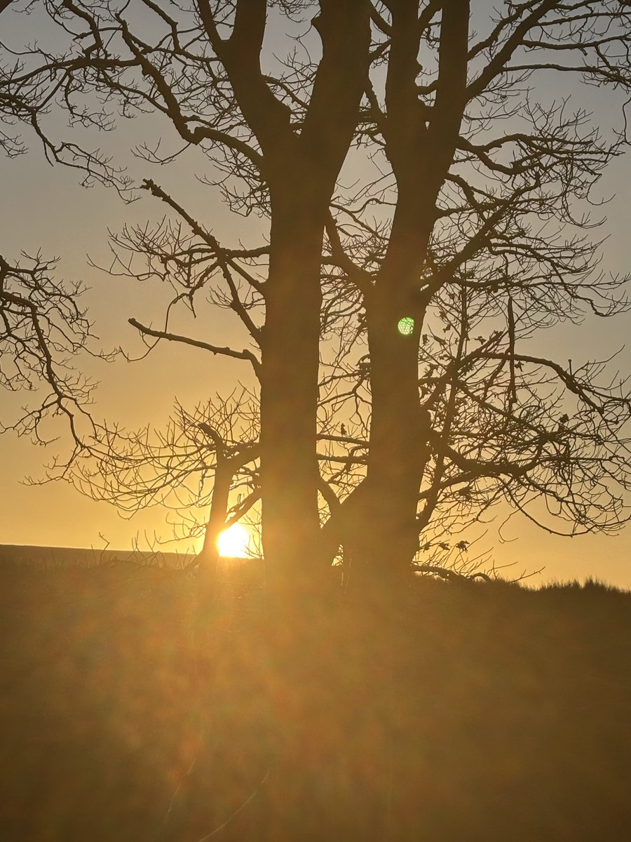 Saturday sun #Divismountain