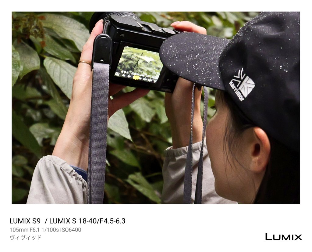 キヨちゃん (@iZN6XrGMkMDzB2n) / Posts / X