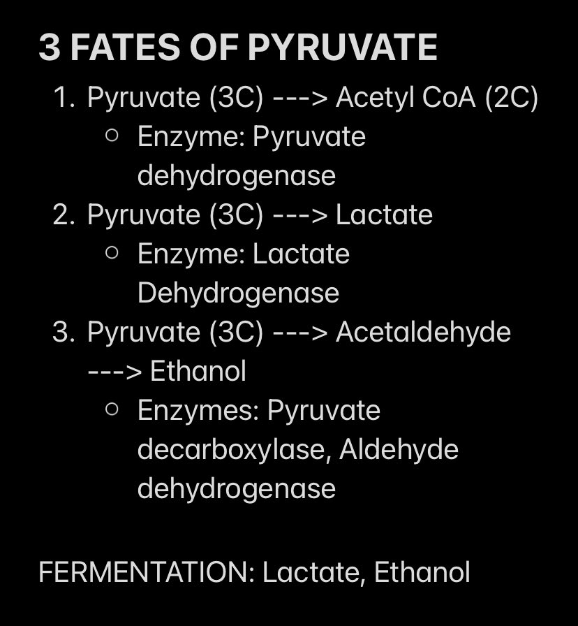 AndrewMoxala's tweet image. M2 HYC: Fates of Pyruvate