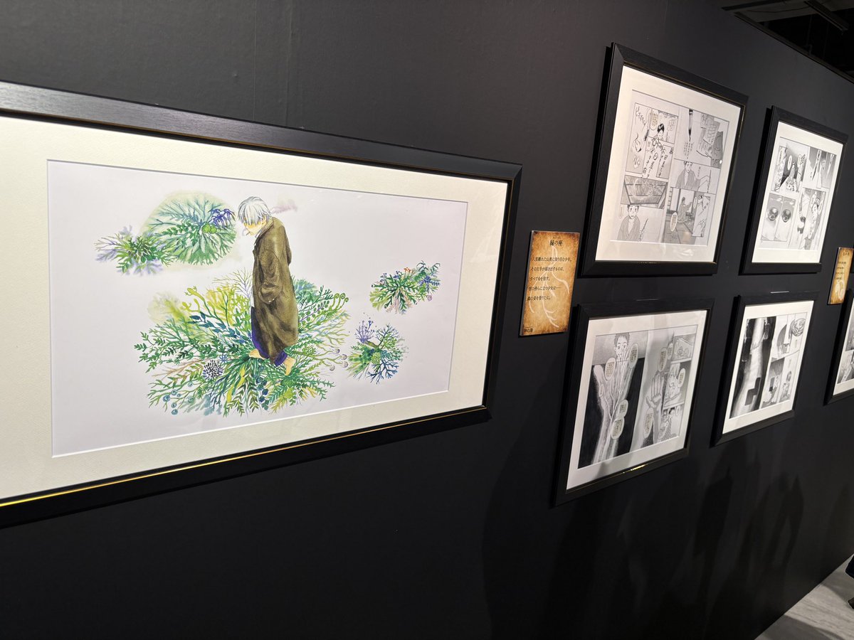 ぱぴこページ Amazon.co.jp: パピコ 1st写真集 a/i/o eBook : パピコ: Kindleストア