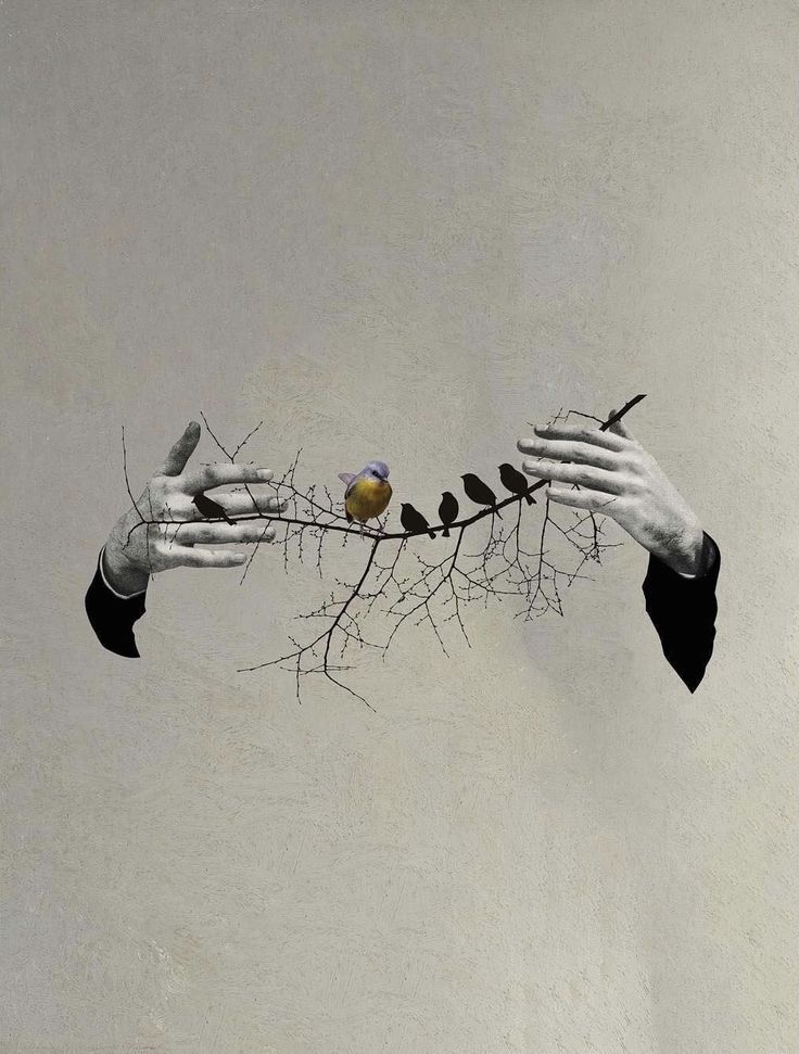 حين عثرت على تلك القصائد بكيت..
أهكذا يبكي التائه وسط المحيط على كتف غريب حين تتراءى له اليابسة من بعيد!
أ هكذا يبكي من يعثر على شعوره في زجاجة لا تخصه!
أهكذا يبكي الوحيد حين لا يعود وحيدا!