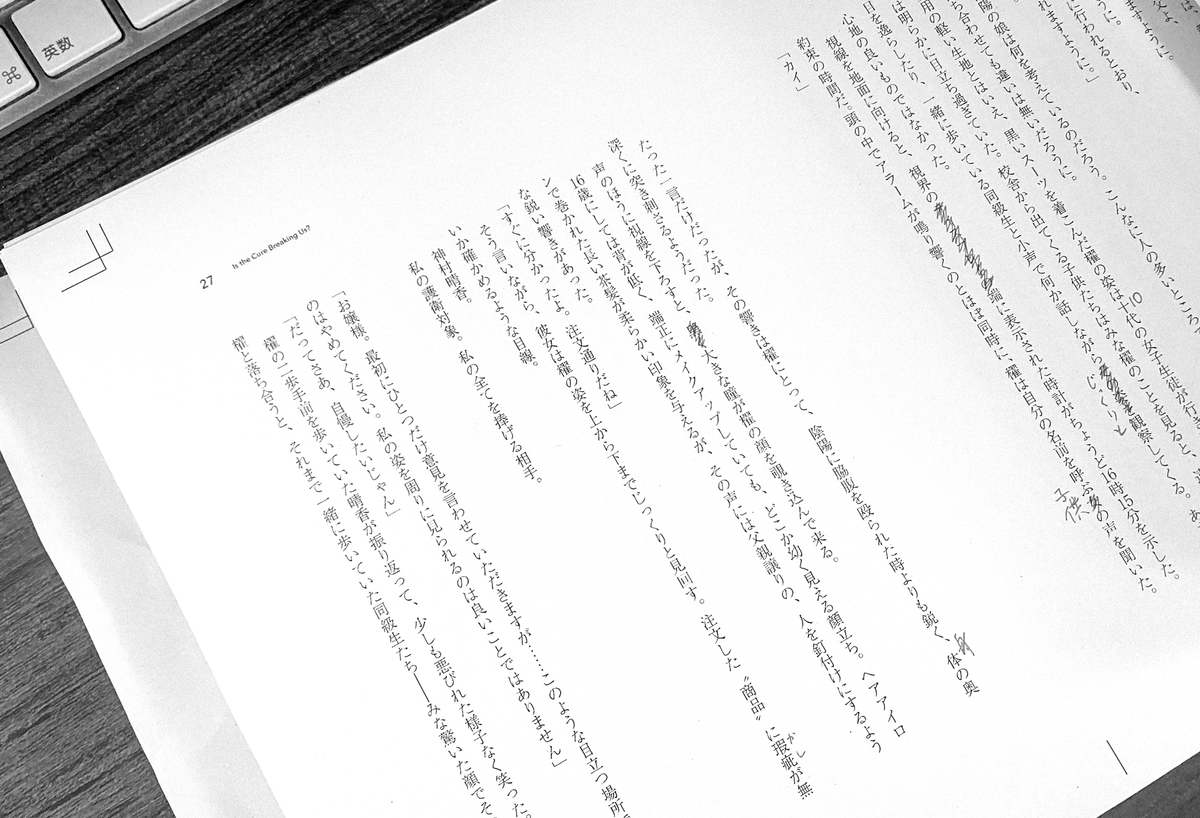 最終チェックをしてた時の出力。

校正校閲については会社勤めの頃、すぐそばに専門の校正さんがいて死ぬほど怒られながら指導を受けたんですが、
プロの校正さんって絶対に居なきゃ良いものは作れないんだなって思い知らされたんだよね…
どんな媒体の原稿でも出力確認は大事。
