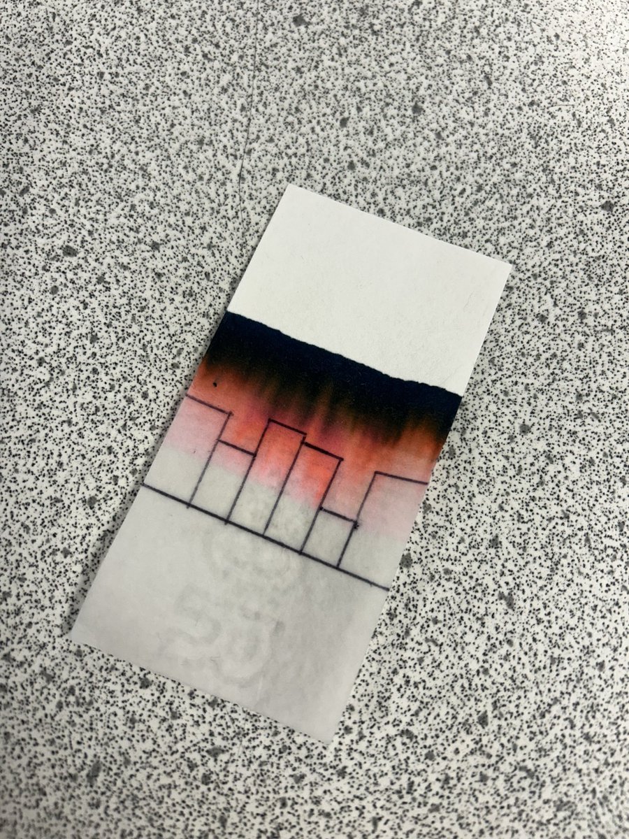 ScienceDYF's tweet image. Some more fantastic ‘creative chromatography’ designs from Year 10 last week!