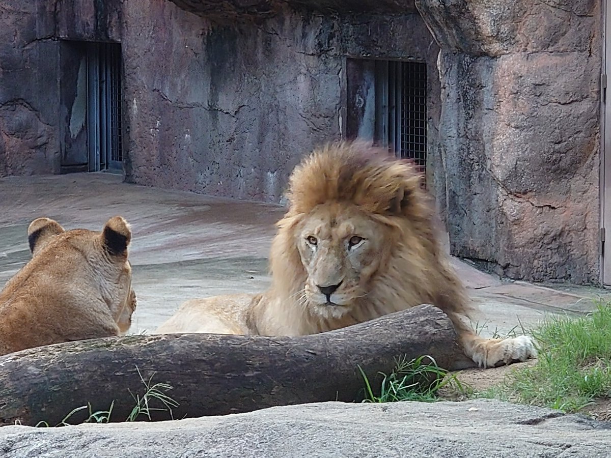 nana24 (@nana247724) / Posts / X