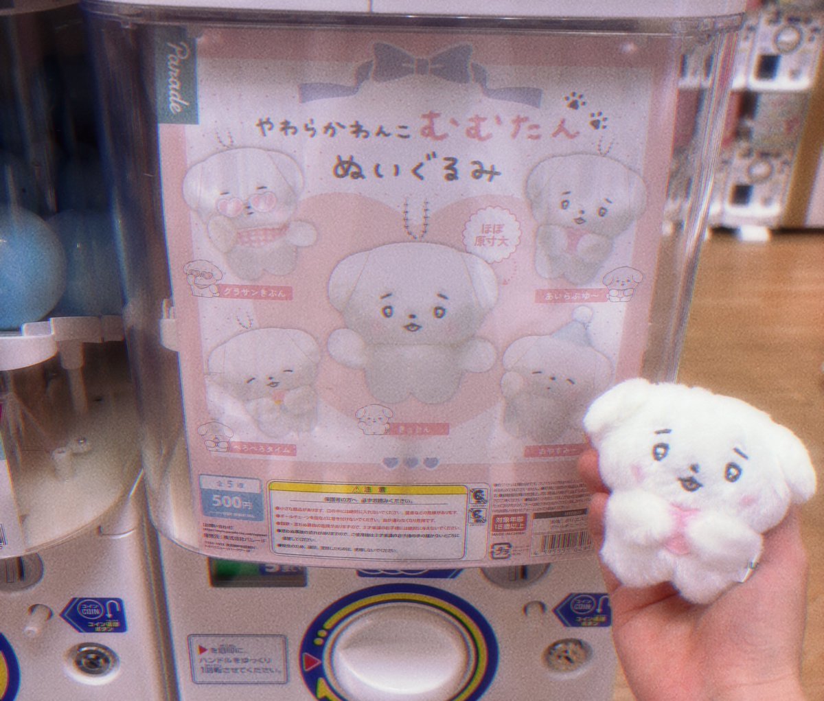 ももまる🫧 (@mo_mo_maru_) / Posts / X