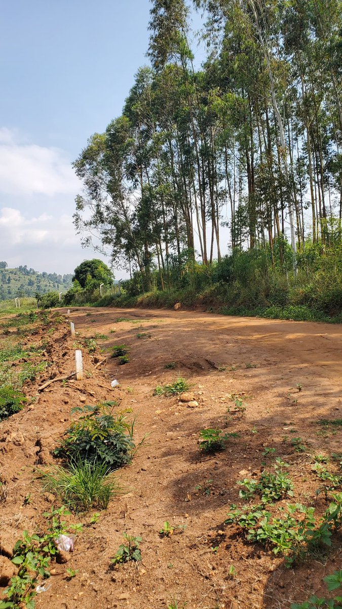 dreamhomessug's tweet photo. Gobero Katiti Estate 50ft by 100ft 13M
Ideal for both residential and commercial development. Clean title, easy access to main roads and surrounded by growing infrastructure.
0753 378 572/0766203720
Sir Apollo kagwa Rd Next to dfcu Bank
#landsearching
#yourdreamhomeonsearch4you https://t.co/zjpr8mkNE6