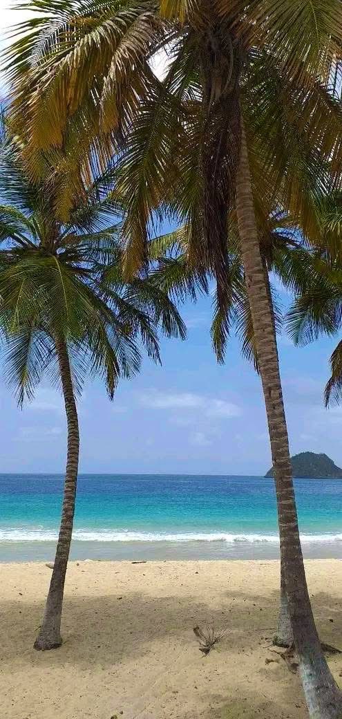 GianlucaCoccon1's tweet photo. Paradisiaca 
BAHÍA DE CATA 
Edo Aragua VENEZUELA 
🇻🇪🇻🇪🇻🇪🇻🇪🇻🇪🇻🇪🇻🇪🇻🇪🇻🇪
📸 @maracayphotography https://t.co/p0L4e0XoGe
