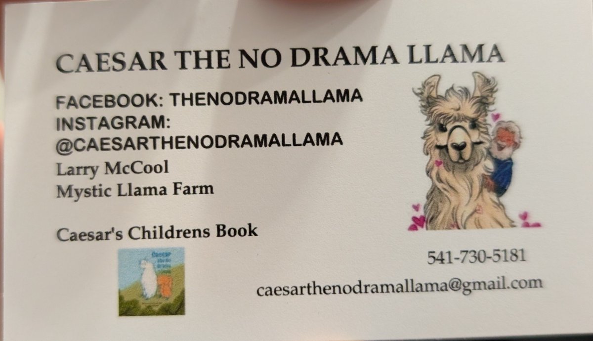 preeti_john's tweet image. Llama love: Caesar &quot;thenodramallama&quot; was a star 💓 #asbh25 @AmerSocBioHum #llama 
(Sharing info with permission from Caesar&apos;s owner)