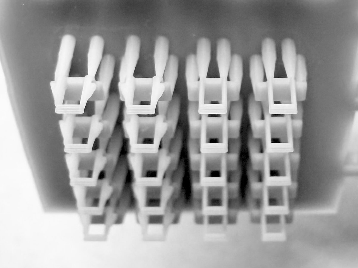 モルトレイン on X