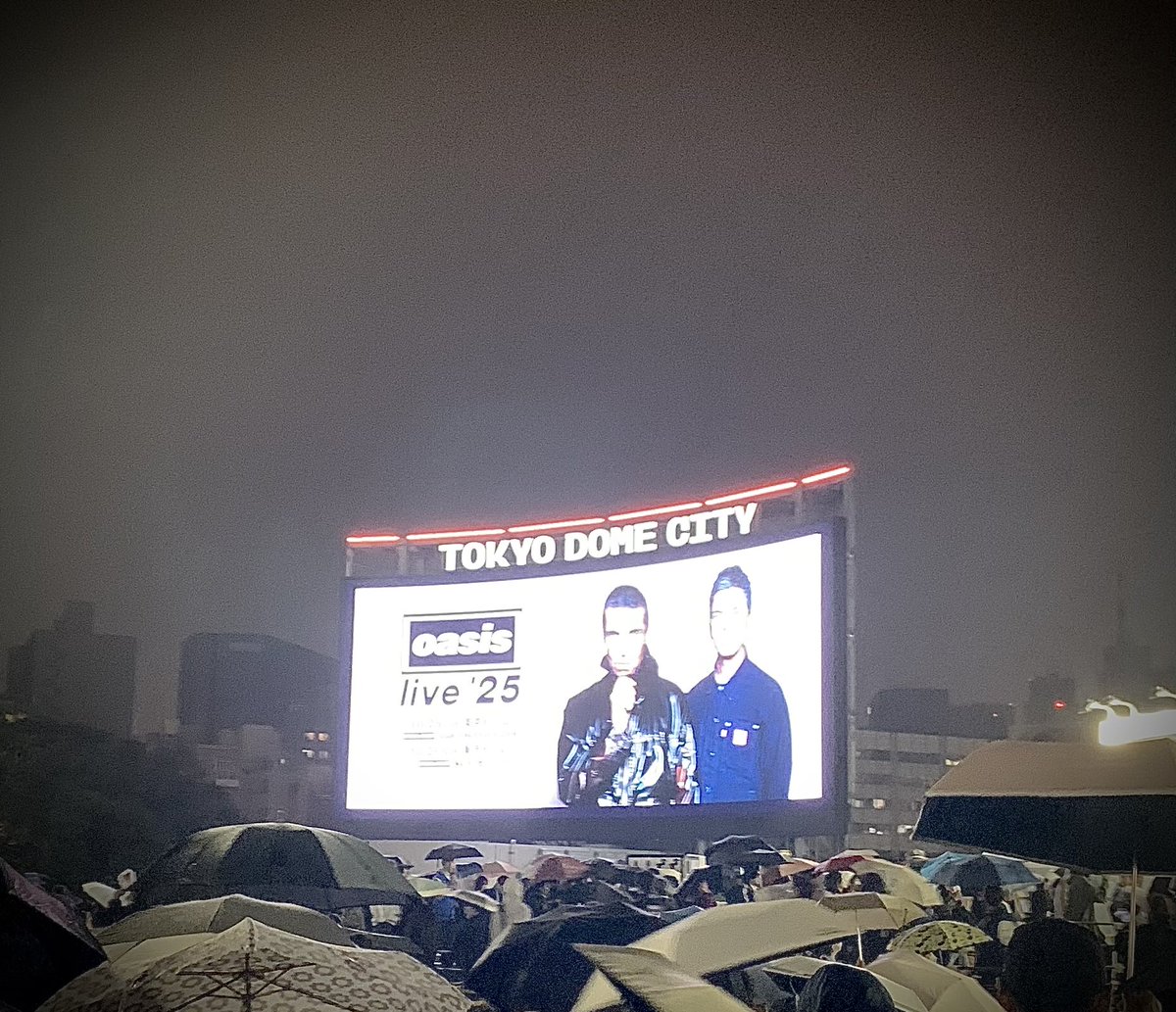 ろいろい (@miyazakiroy) / Posts / X