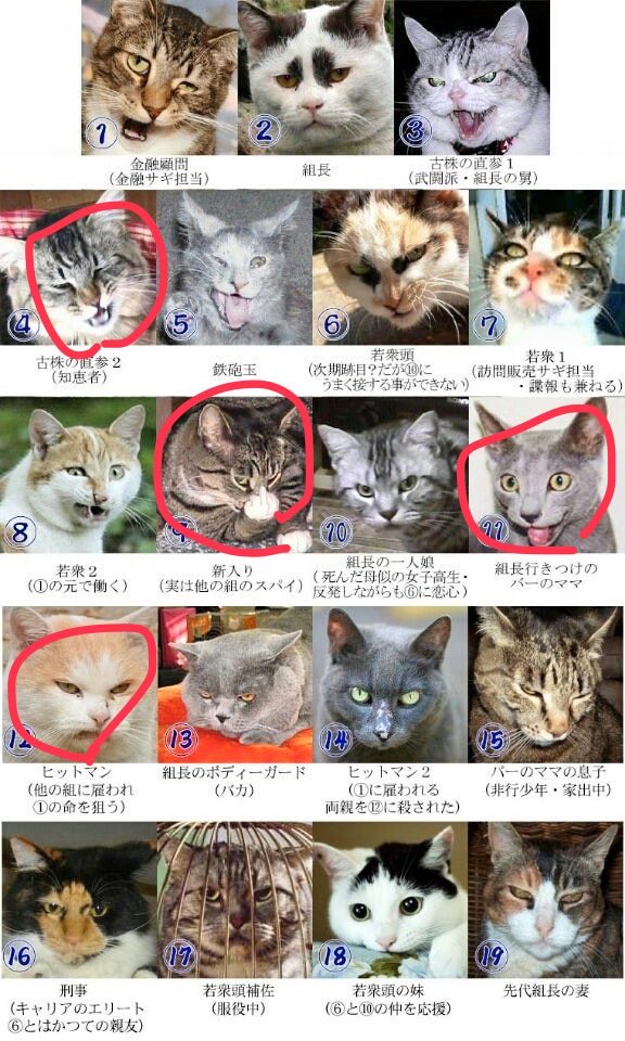 ❤️cats n horse’s ❤️追加分① ゆきえす on X