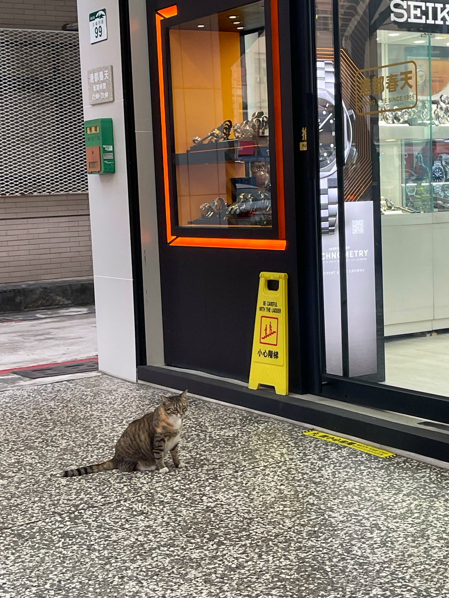 ももページ モードエジャコモ セレクト MODE ET JACOMO SELECT 【D.A.T.E