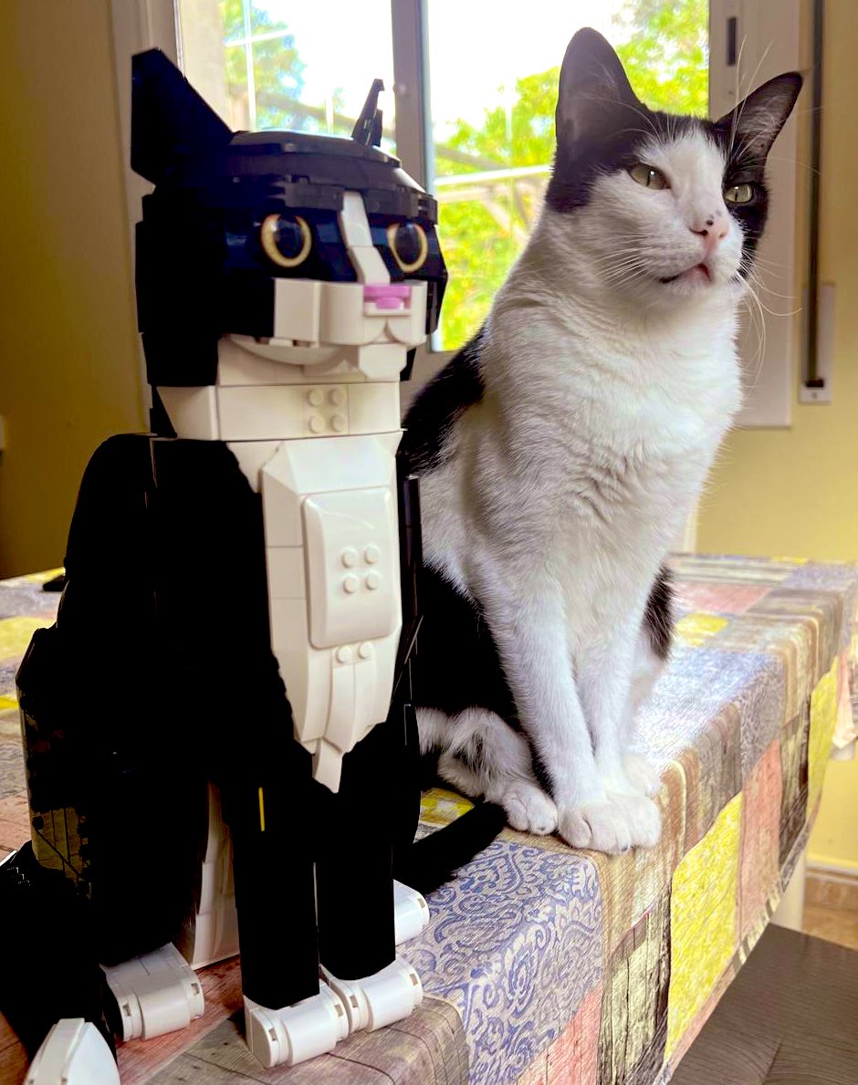 Misi ya tiene un nuevo amigo 
#Lego