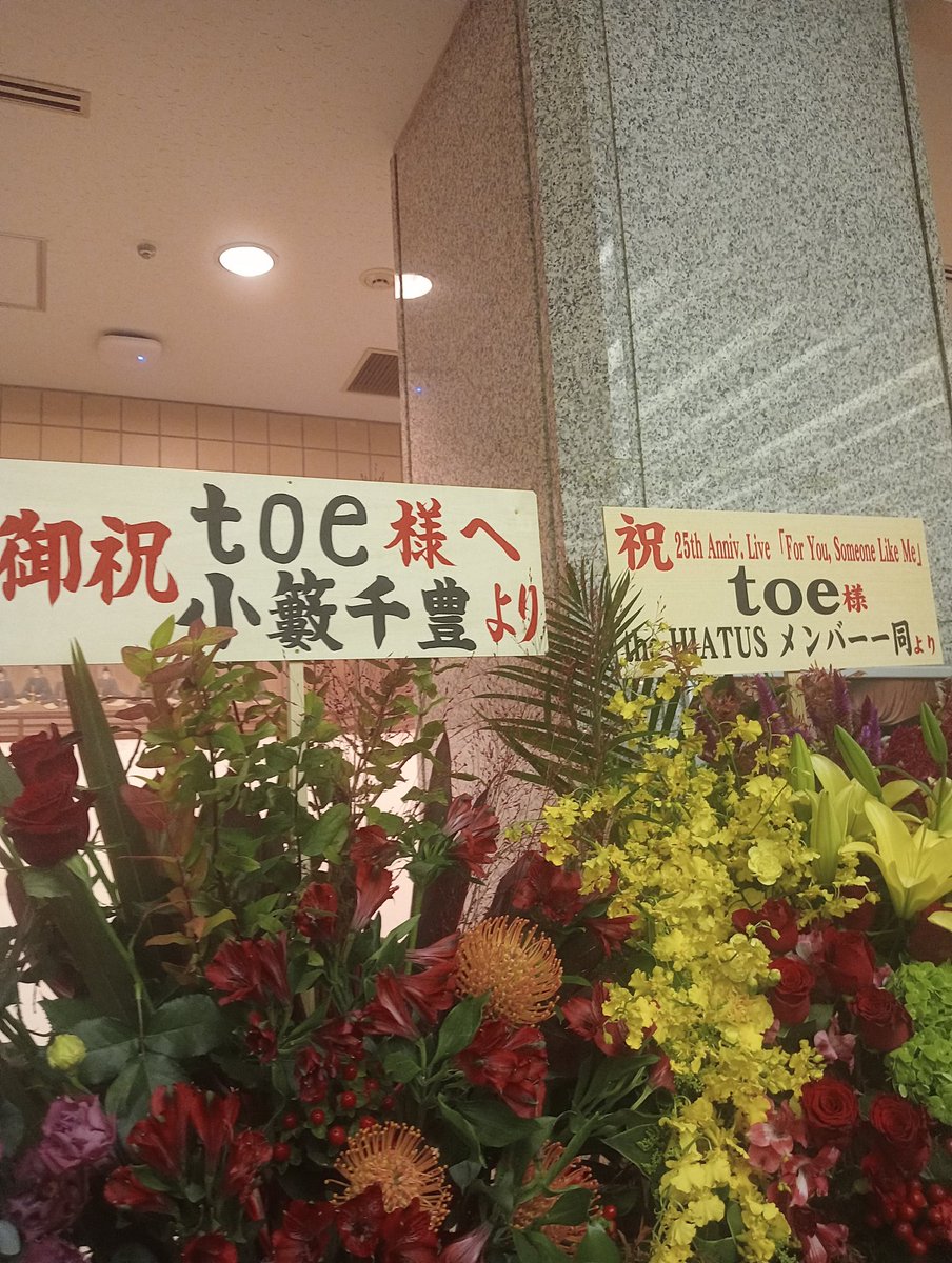 0731tefu's tweet photo. toeのライブに行ってきた。
「ACIDMANの花デケーなw」
って声が聞こえてきて笑ってしまったw
明日は武道館🫠 https://t.co/9O1goiGYlK
