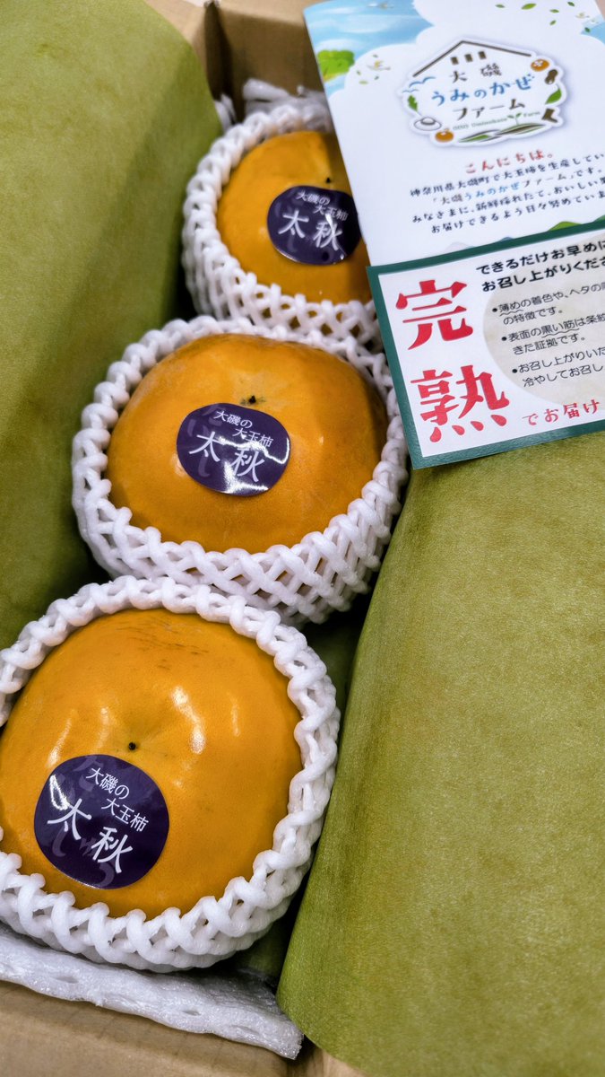 大玉柿『太秋柿』
農園仲間の大磯うみのかぜファームさんの柿😋
すごく美味しい！
まず、手のひらサイズに驚き
食べると蜜のようなねっとりした甘み
シャキシャキッした食感
噛めば噛むほどあふれてくる果汁…
最高です！

tabechoku.com/products/114262