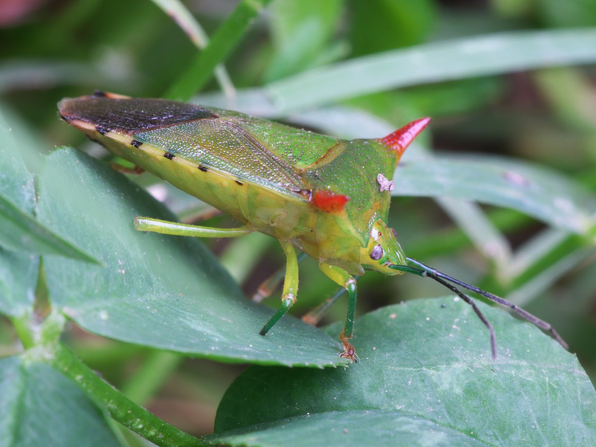 そら。ページ そらさん on X