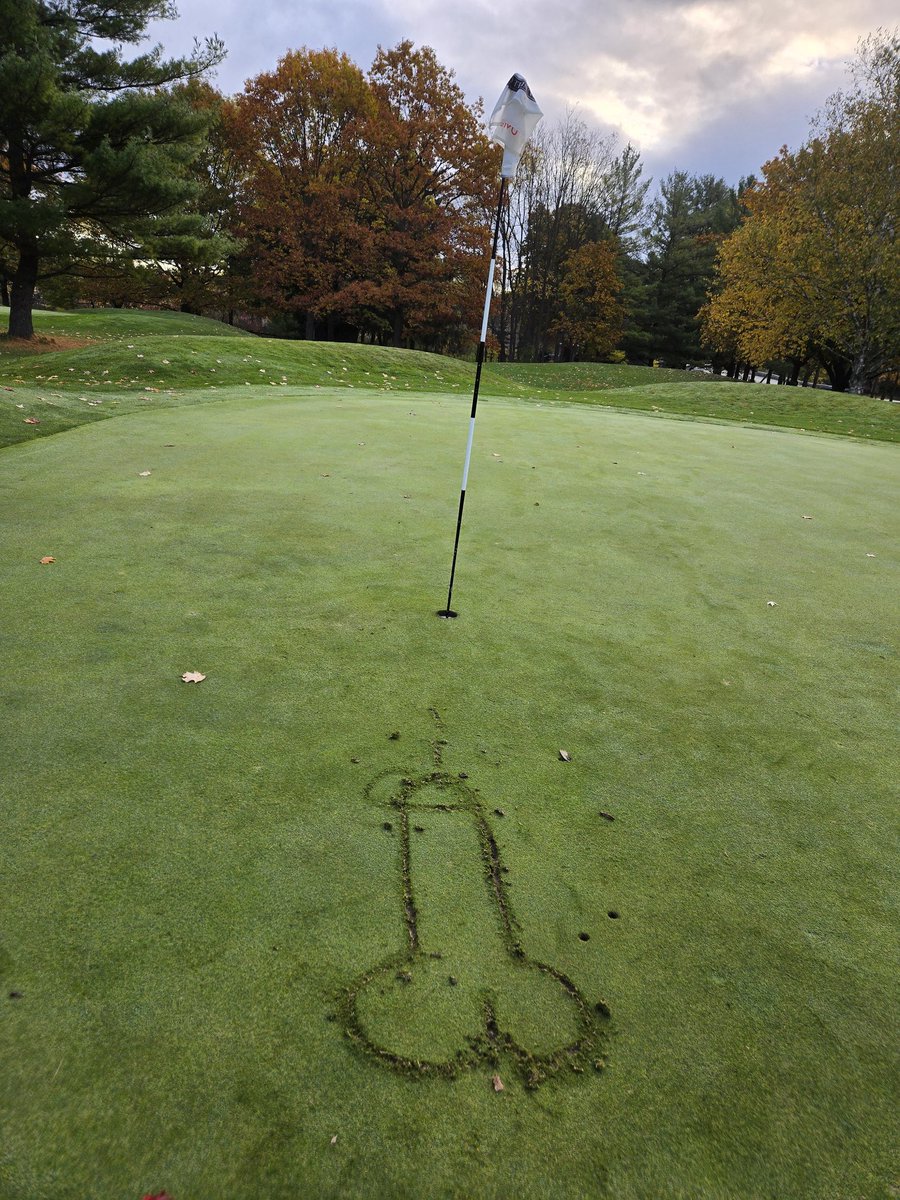 Ashley Binkle tweet media