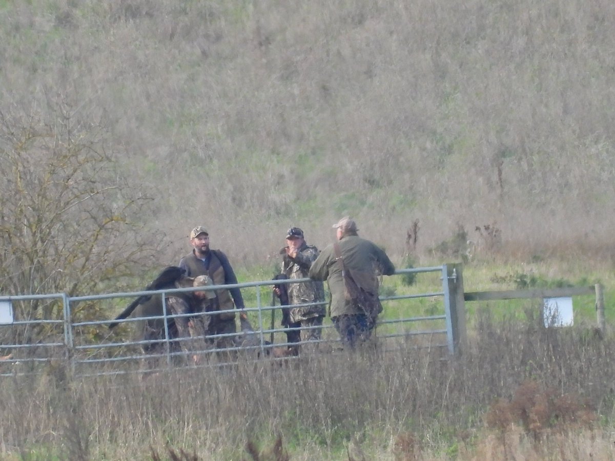 leslie fox tweet media