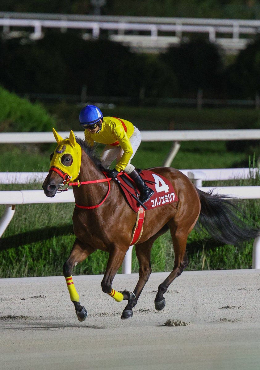 すみれ (@330smile330) / Posts / X